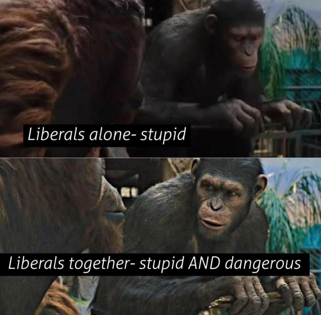 Liberals alone- stupid
Liberals together- stupid AND dangerous
