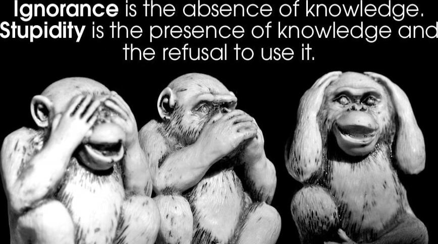 Ignorance is the absence of knowledge. Stupidity is the presence of knowledge and the refusal to use it.