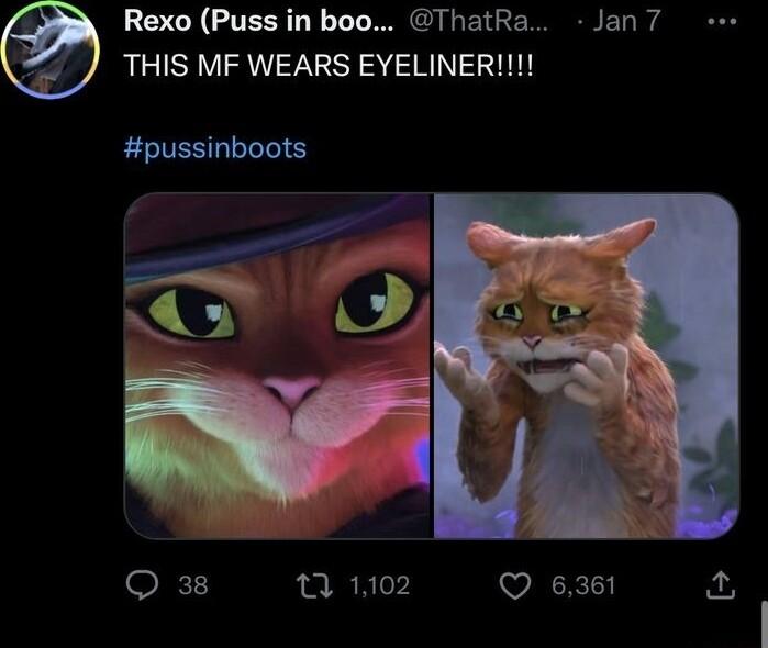 Rexo Puss in boo ThatRa Jan7 THIS MF WEARS EYELINER Q 38 7 1102 Q 6361