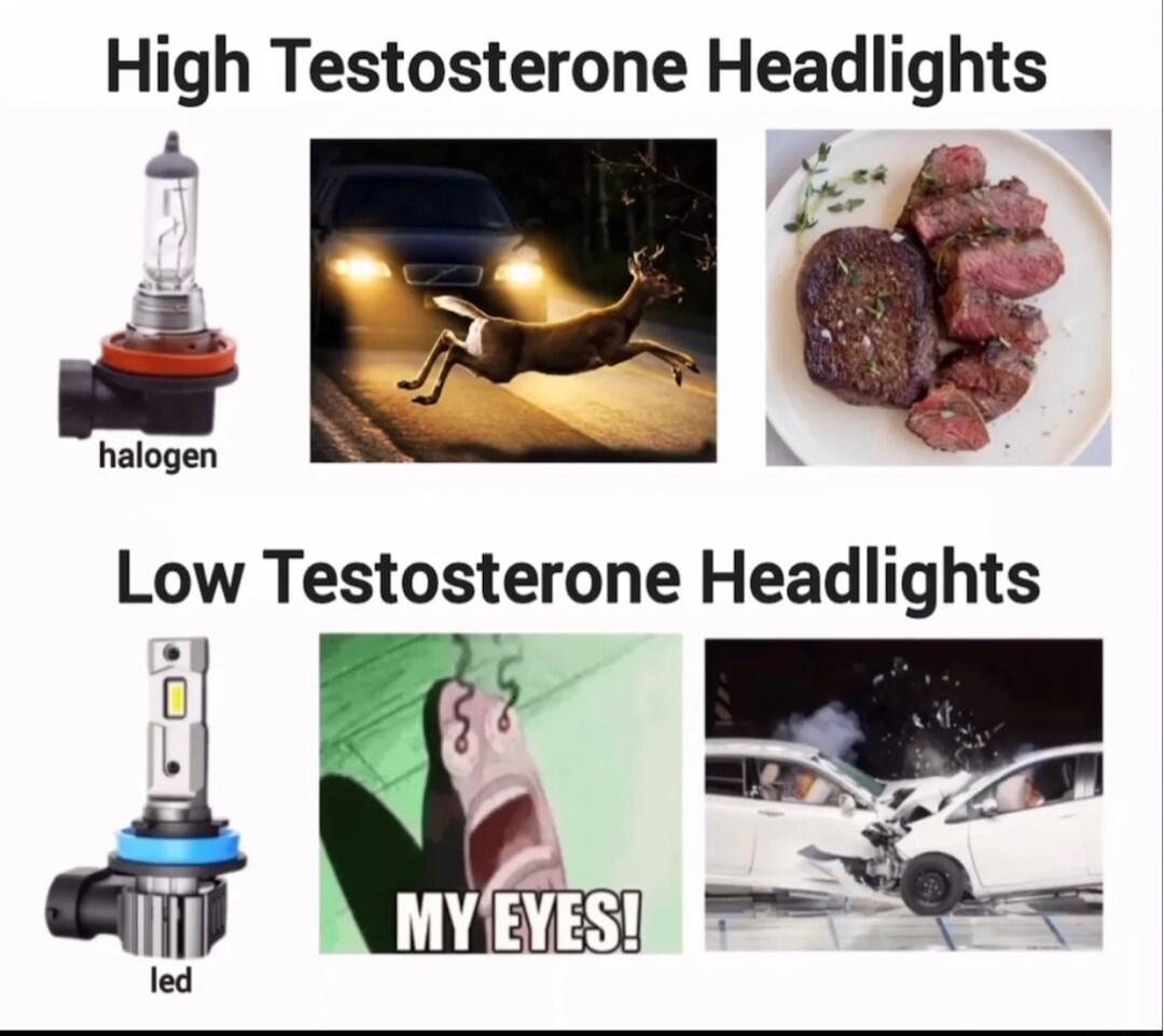High Testosterone Headlights
halogen

Low Testosterone Headlights
led
MY EYES!
