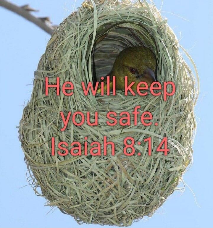He will keep you safe. Isaiah 8:14