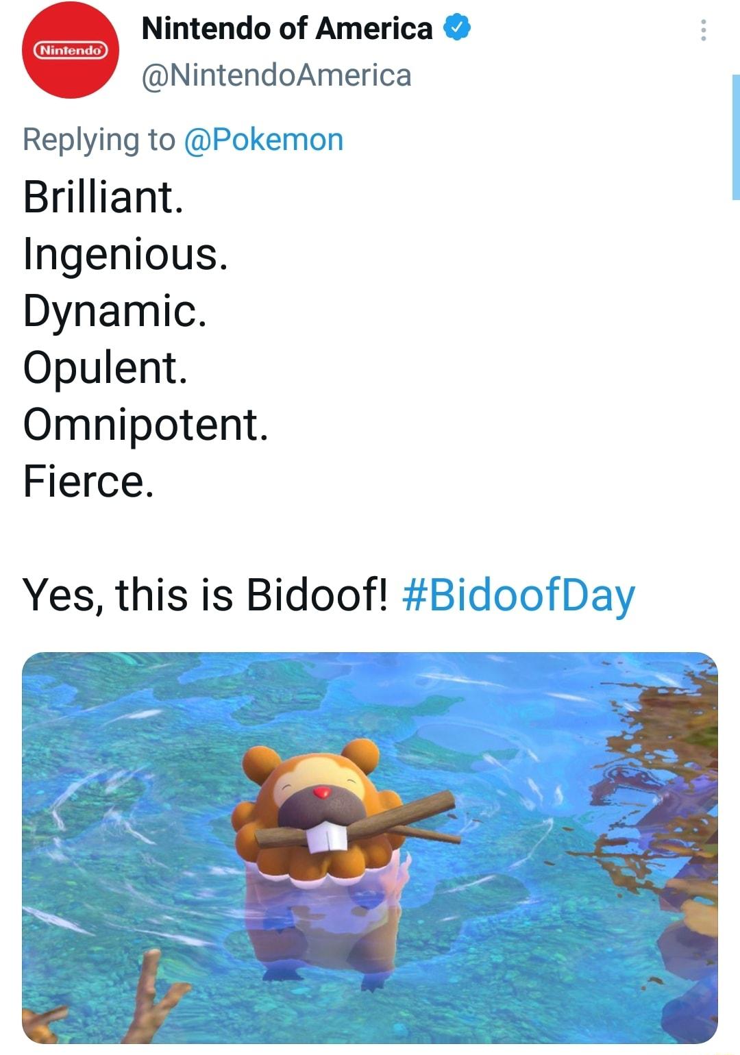 Nintendo of America NintendoAmerica Replying to Pokemon Brilliant Ingenious Dynamic Opulent Omnipotent Fierce Yes this is Bidoof Bidoof