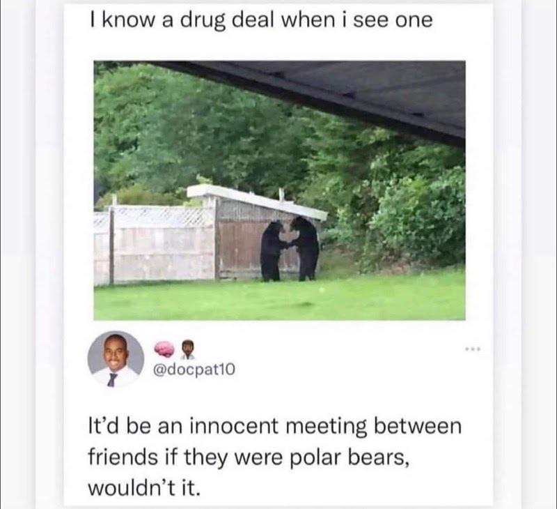 I know a drug deal when i see one 9 docpati0 Itd be an innocent meeting between friends if they were polar bears wouldnt it