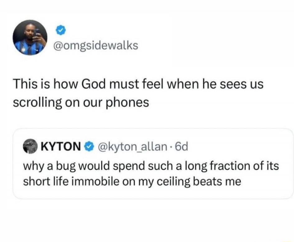 This is how God must feel when he sees us scrolling on our phones. why a bug would spend such a long fraction of its short life immobile on my ceiling beats me