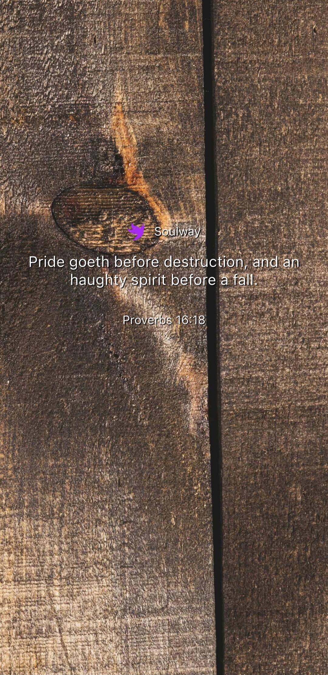 Soulway Pride goeth before destruction, and an haughty spirit before a fall. Proverbs 16:18