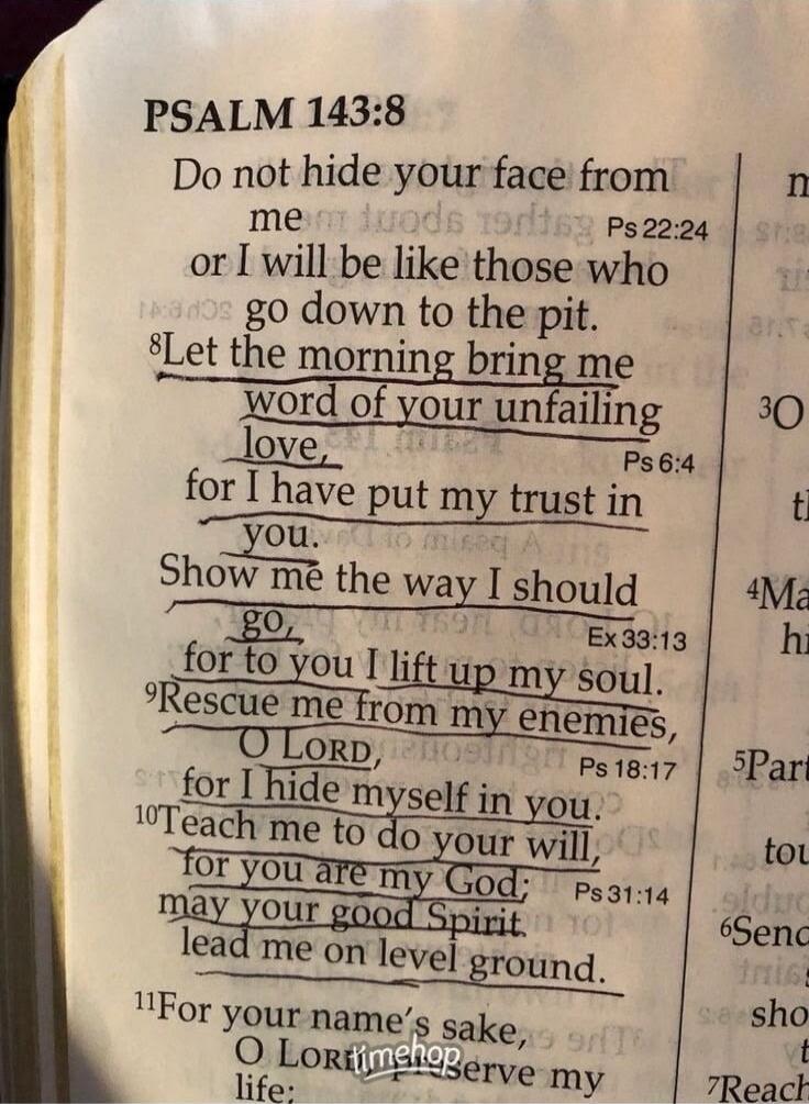 PSALM 143:8 Do not hide your face from me or I will be like those who go down to the pit. Let the morning bring me word of your unfailing love, for I have put my trust in you. Show me the way I should go, for to you I lift up my soul. Rescue me from my enemies, O LORD, for I hide myself in you. Teach me to do your will, for you are my God; may your