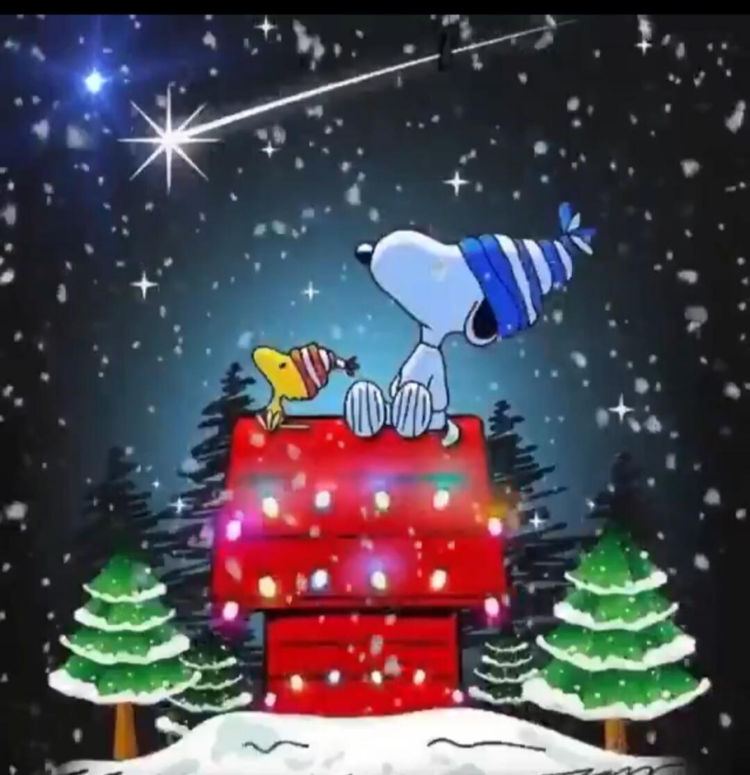 Snoopy and Woodstock sitting on top of a red doghouse in a snowy, festive night scene with falling snow and Christmas lights. There are snow-covered trees and a shooting star in the sky.