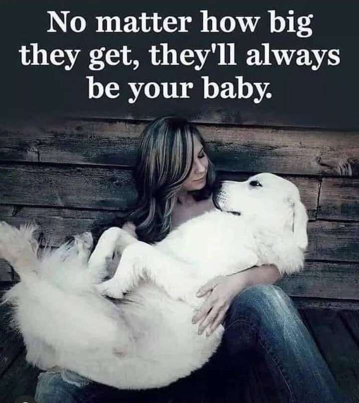 No matter how big they get theyll always be your baby