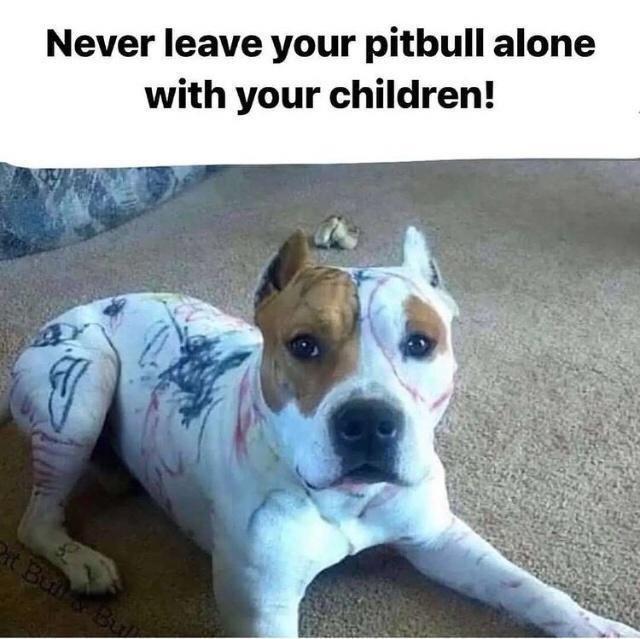 Never leave your pitbhull alone with your children