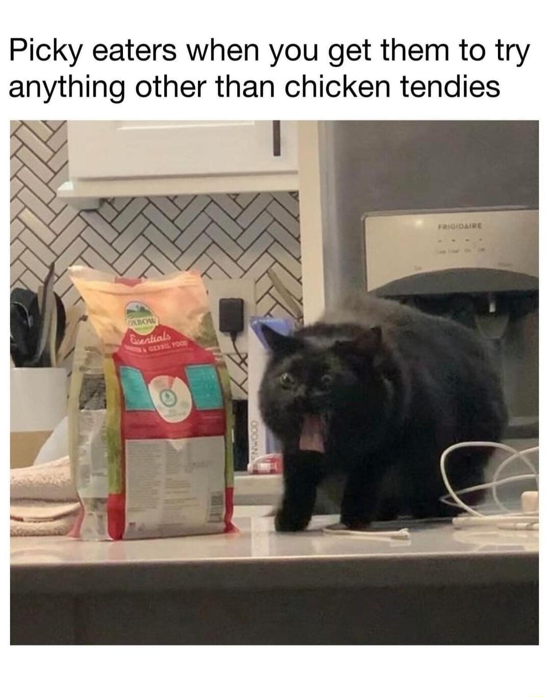 Picky eaters when you get them to try anything other than chicken tendies