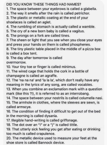 DID YOU KNOW THESE THINGS HAD NAMES 1 The space between your eyebrows is called a glabella 2 The way it smels after the rain is called petrichor 3 The plastic or metallic coating at the end of your shoelaces is called an aglet 4 The rumbling of stomach is actually called a wamble 5 The cry of a new born baby is called a vagitus 6 The prongs on a fork are called tines 7 The sheen or light that you 