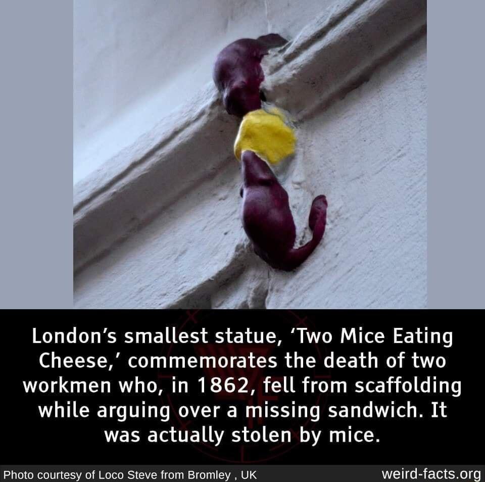 IGT TG VT RO E TS S EY T VO T Cheese commemorates the death of two workmen who in 1862 fell from scaffolding while arguing over a missing sandwich It was actually stolen by mice i o s Sl Wows Becades weird factsorg