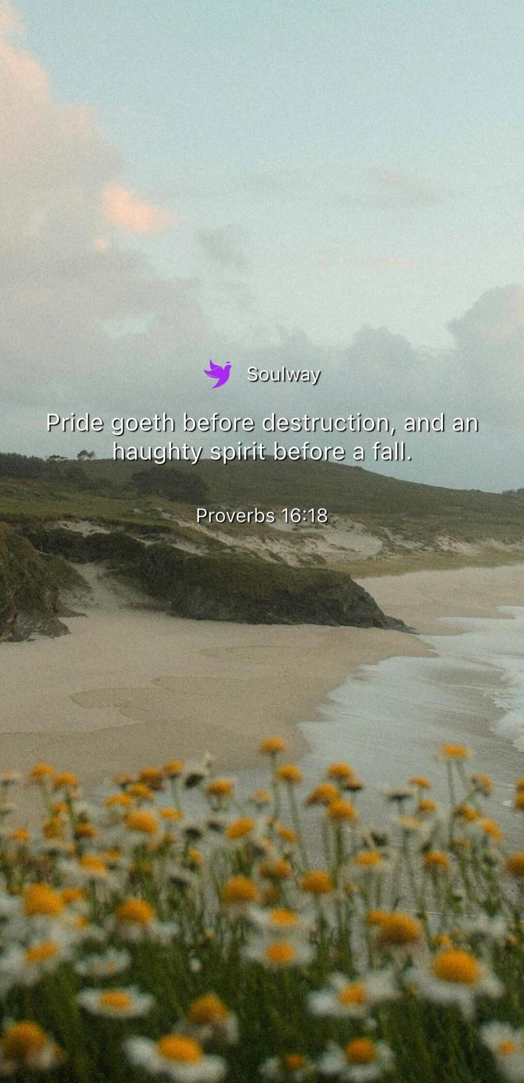 Soulway Pride goeth before destruction, and an haughty spirit before a fall. Proverbs 16:18