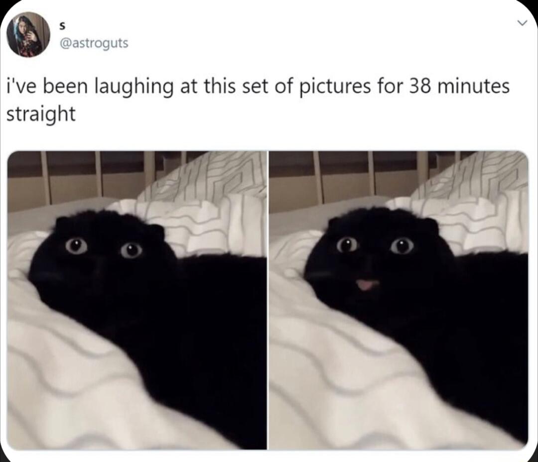 ive been laughing at this set of pictures for 38 minutes straight Ew pE