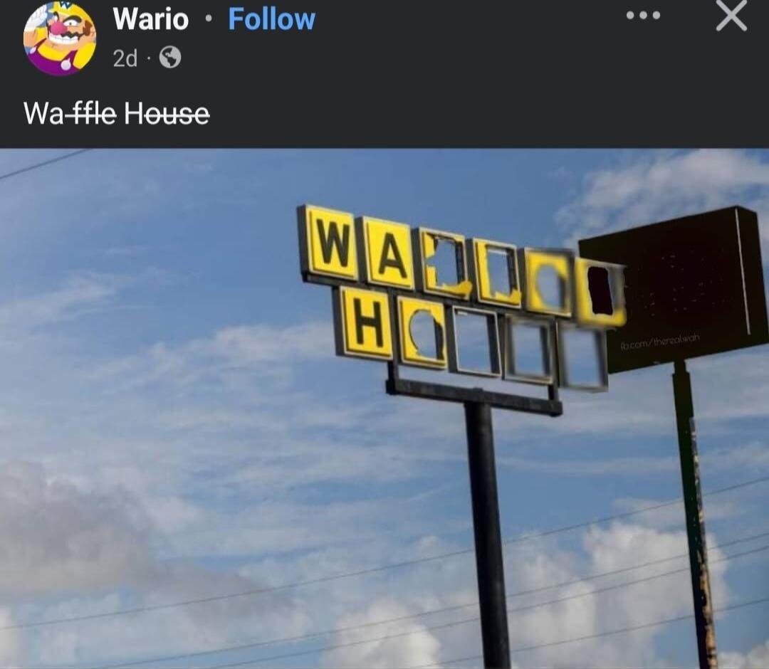 Wario Follow 249