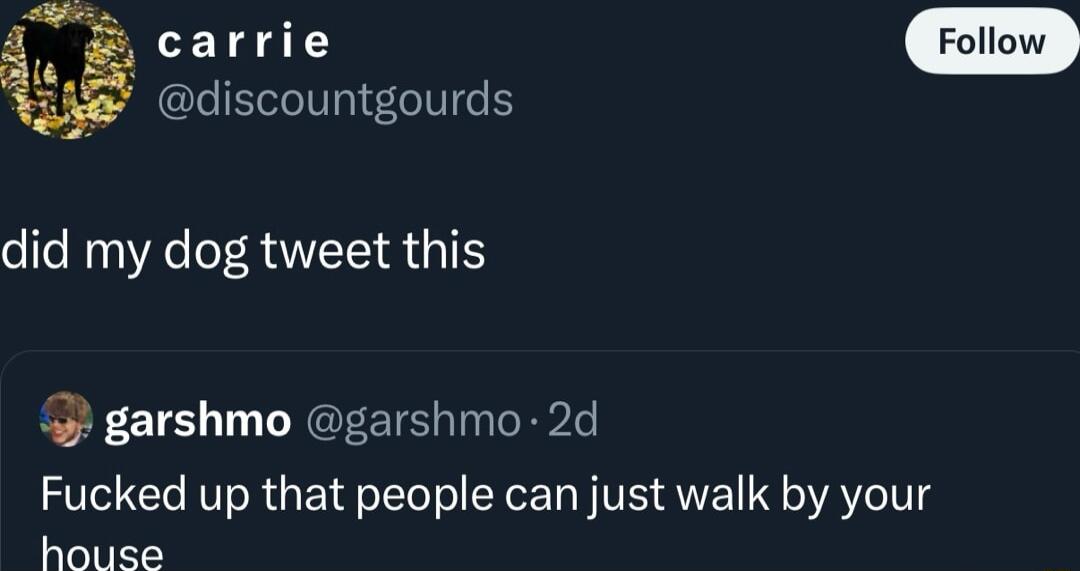 T i 3 discountgourds did my dog tweet this 43 garshmo garshmo 2d Fucked up that people can just walk by your house