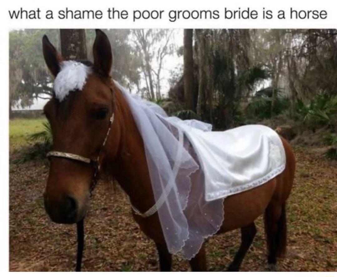 what a shame the poor grooms bride is a horse T