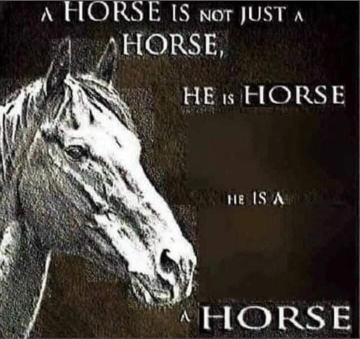 A FLORSE S nor JuST A A 5 188 HE ISA 3l 280