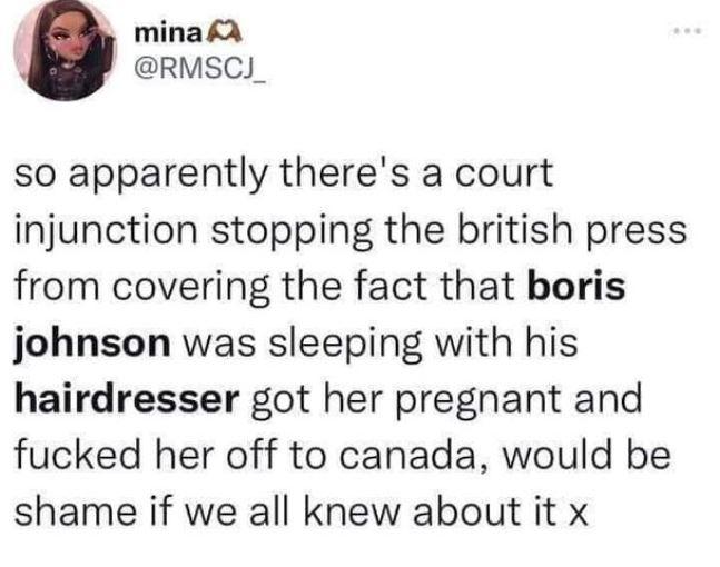 minafa RMSCJ_ so apparently theres a court injunction stopping the british press from covering the fact that boris johnson was sleeping with his hairdresser got her pregnant and fucked her off to canada would be shame if we all knew about it x