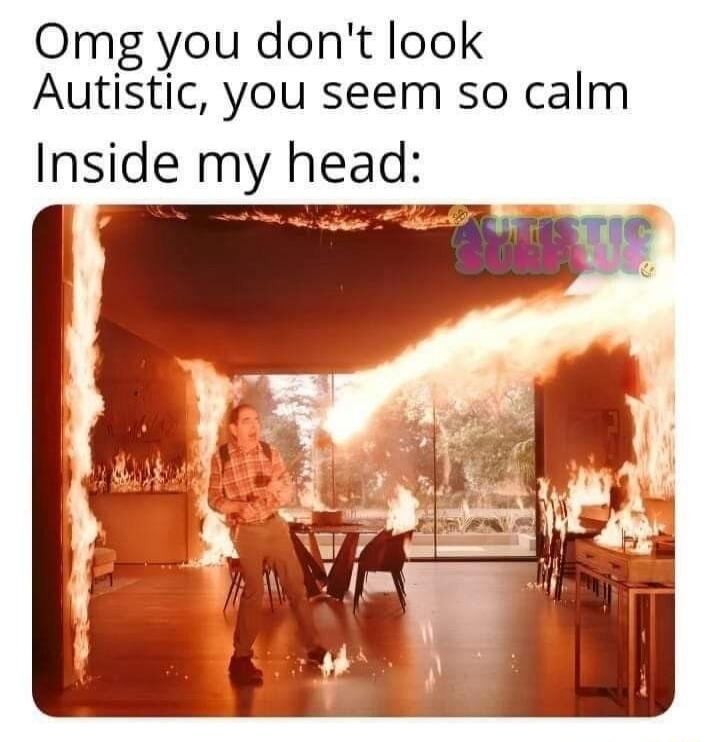 Omg you don't look Autistic, you seem so calm Inside my head: