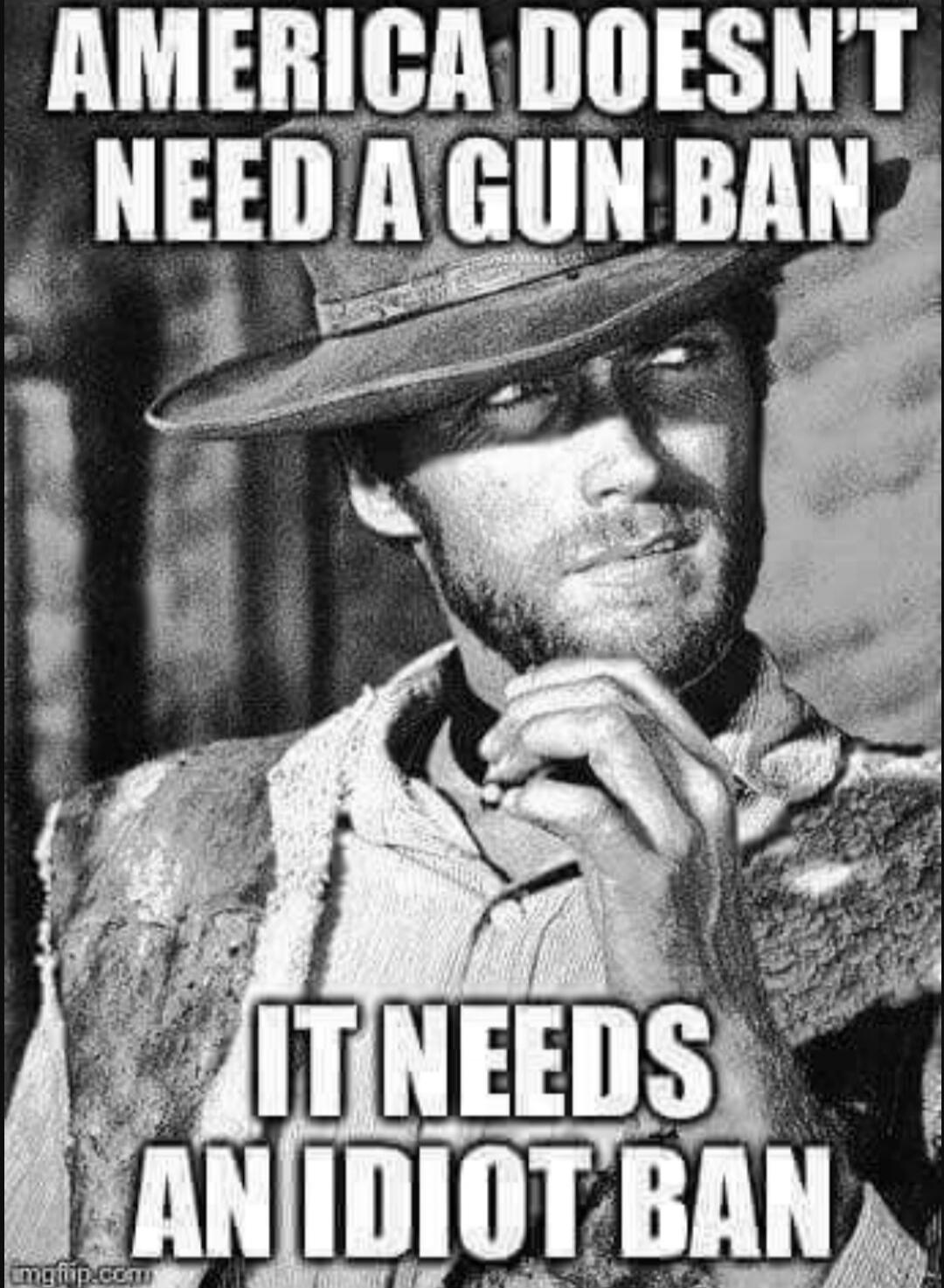 AMERICA DOESN'T NEED A GUN BAN IT NEEDS AN IDIOT BAN
