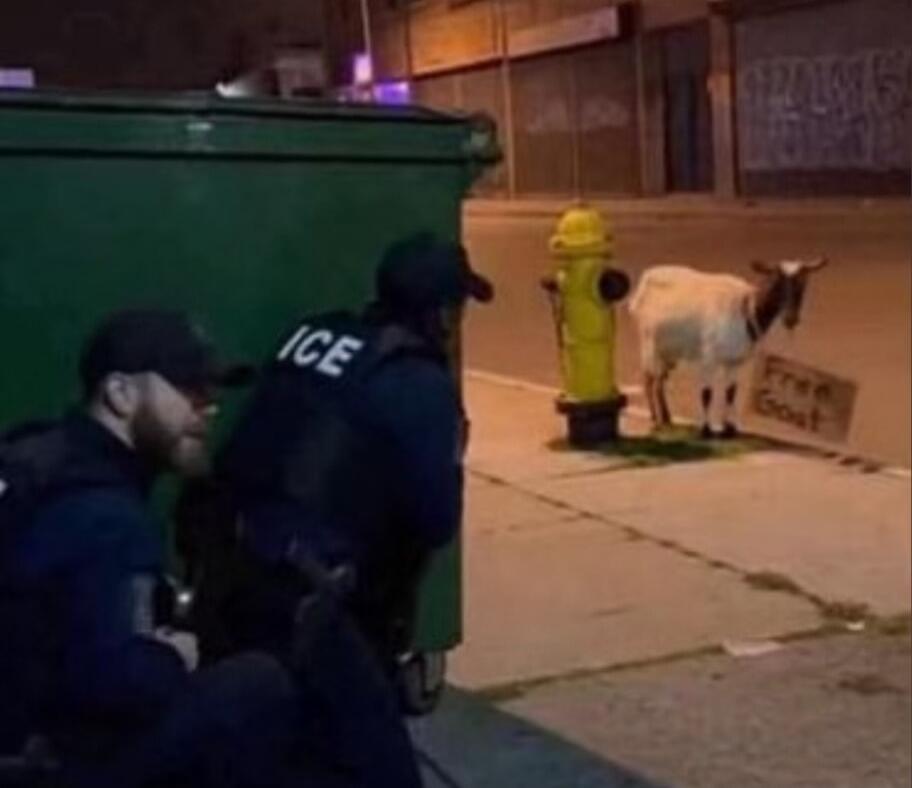 ICE on jackets; a goat standing by a fire hydrant and a small sign on the sidewalk.