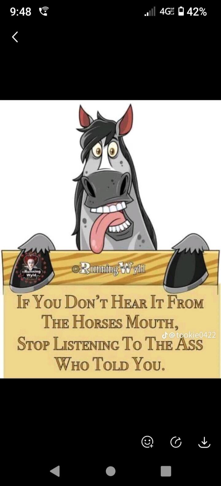 IF YOU DON'T HEAR IT FROM THE HORSES MOUTH, STOP LISTENING TO THE ASS WHO TOLD YOU. Running Wyld. @tookie0422