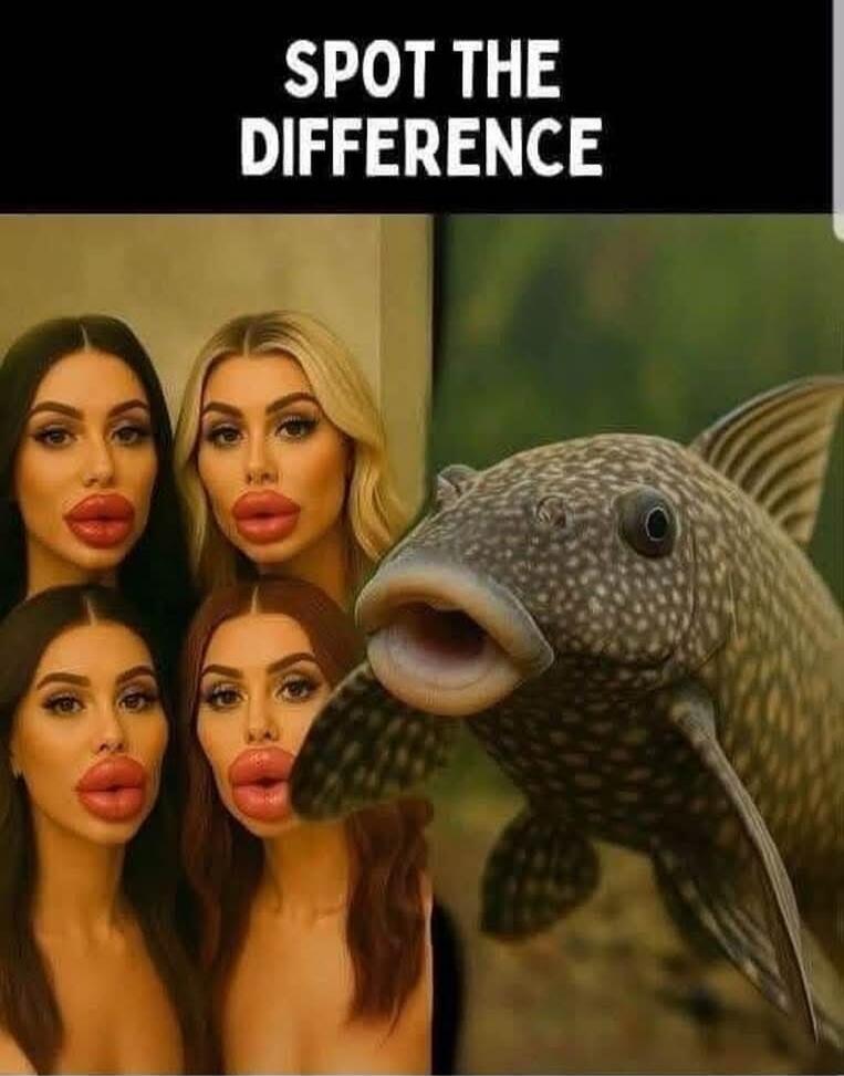SPOT THE DIFFERENCE