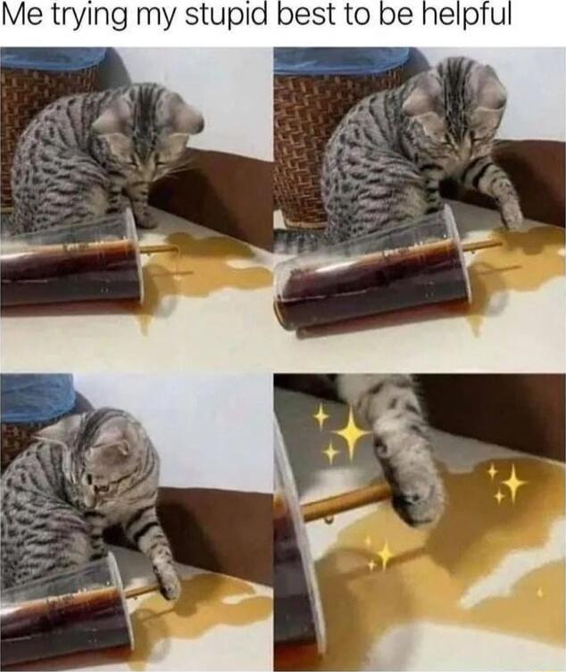 Me trying my stupid best to be helpfu