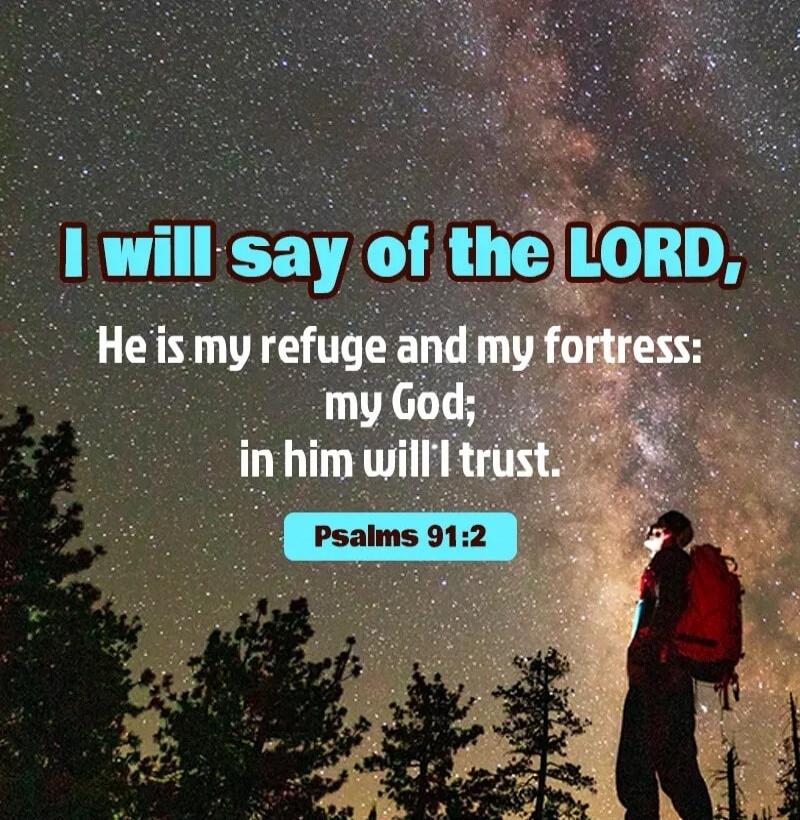 I will say of the LORD, He is my refuge and my fortress: my God; in him will I trust. Psalms 91:2
