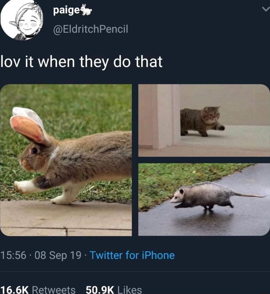 paigedy v EldritchPencil lov it when they do that 1556 08 Sep 19 Twitter for iPhone 166K Retweets 509K ikes