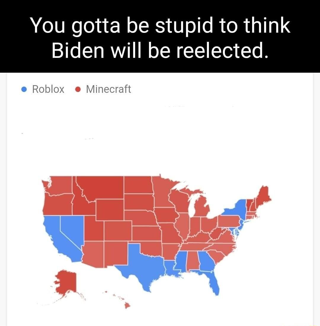 You gotta be stupid to think Biden will be reelected d ba