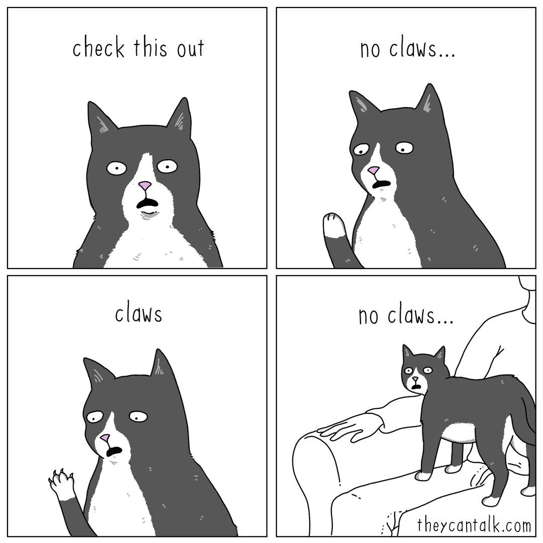 check this out no claws no claws v i Y theycantalkcom