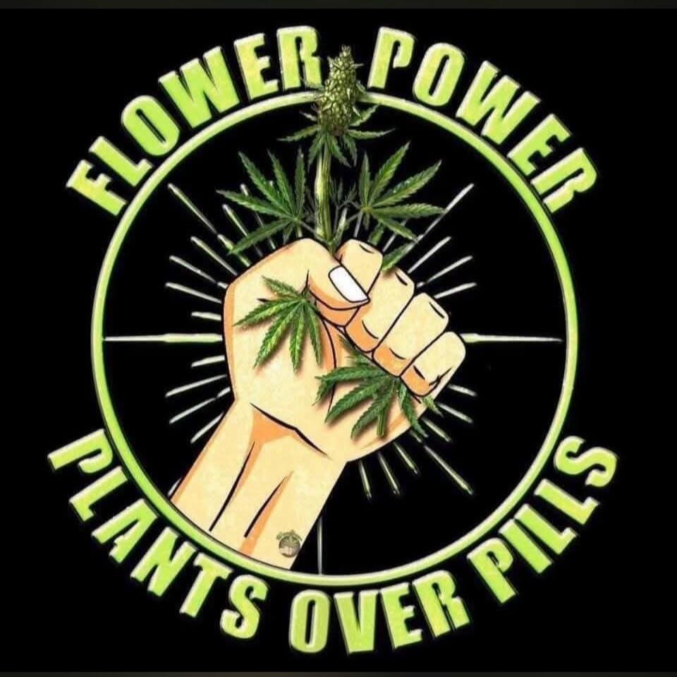 FLOWER POWER PLANTS OVER PILLS