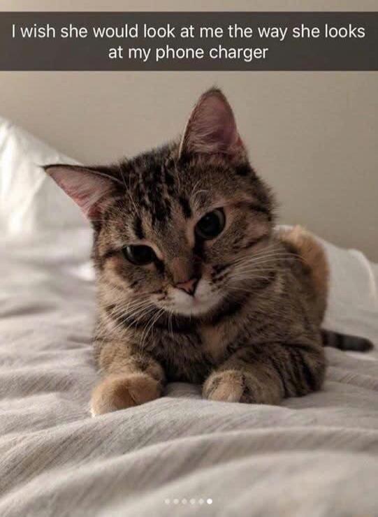 I wish she would look at me the way she looks at my phone charger