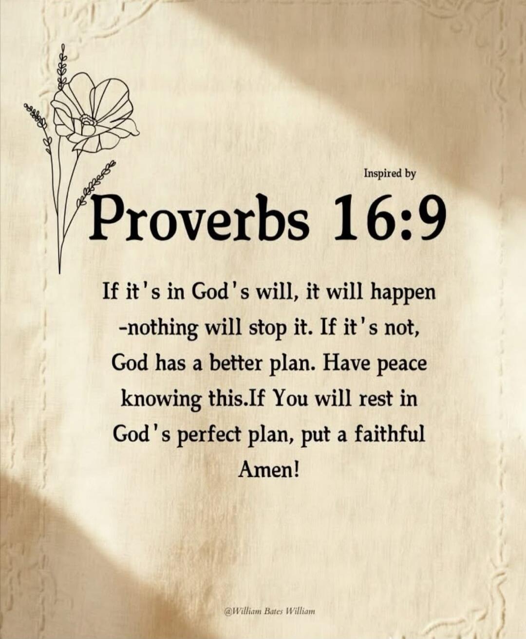 Inspired by Proverbs 16:9 If it's in God's will, it will happen -nothing will stop it. If it's not, God has a better plan. Have peace knowing this. If You will rest in God's perfect plan, put a faithful Amen! @William Bates William
