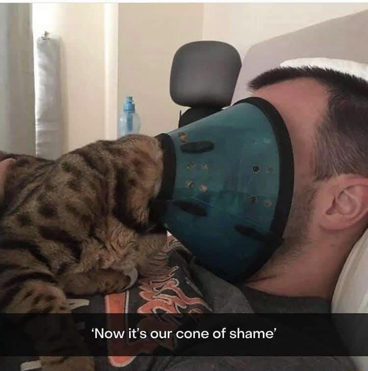 LN Now its our cone of shame W