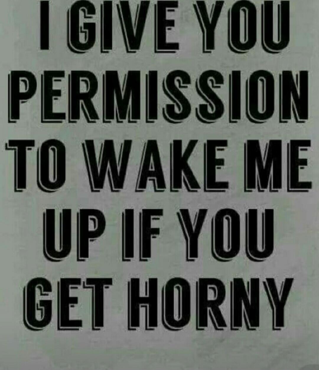 I GIVE YOU PERMISSION TO WAKE ME UP IF YOU GET HORNY