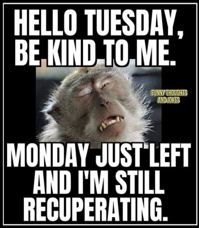 HELLO TUESDAY, BE KIND TO ME. MONDAY JUST LEFT AND I'M STILL RECUPERATING. FUNNY THOUGHTS AND JOKES