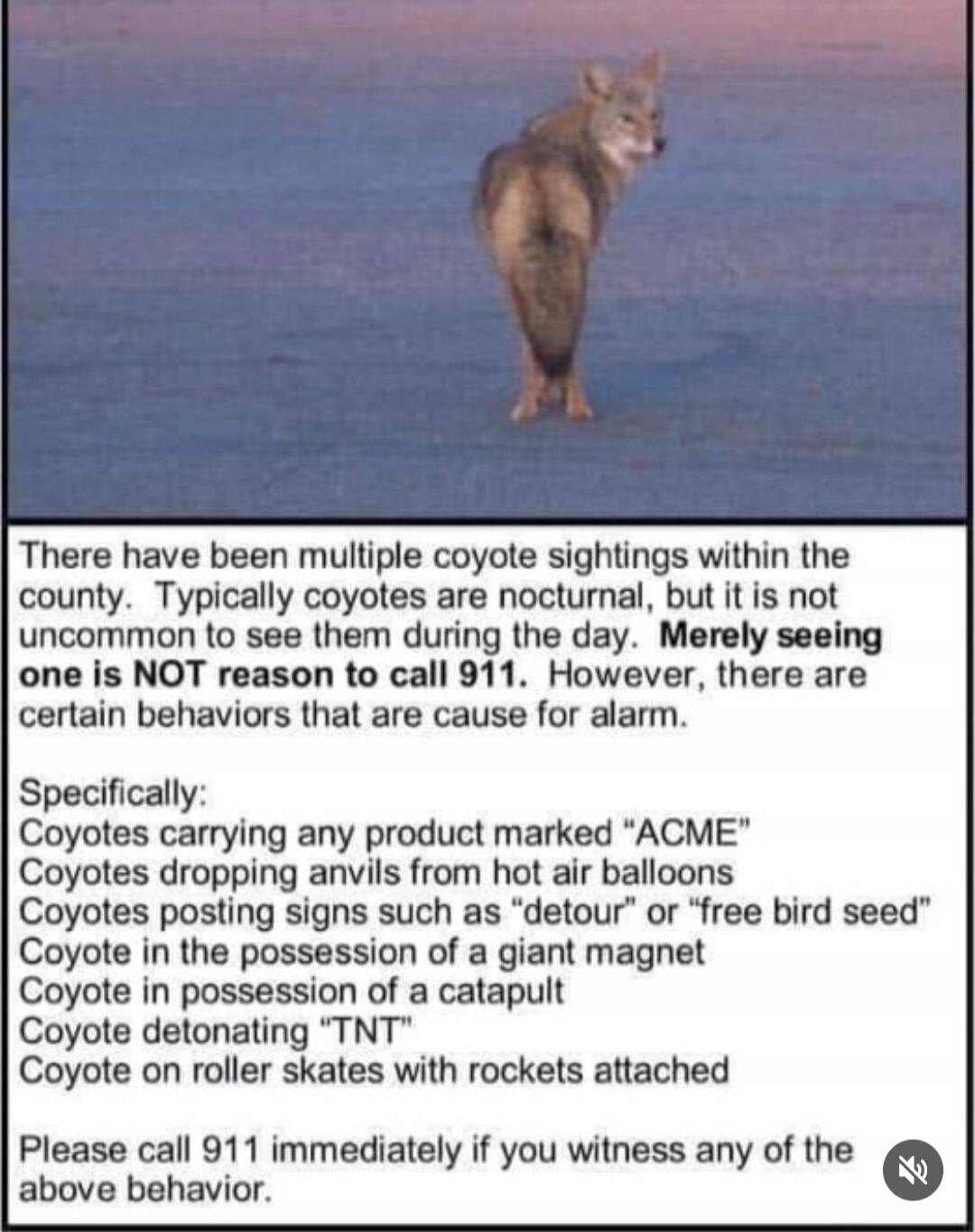 There have been multiple coyote sightings within the county. Typically coyotes are nocturnal, but it is not uncommon to see them during the day. Merely seeing one is NOT reason to call 911. However, there are certain behaviors that are cause for alarm. Specifically: Coyotes carrying any product marked 