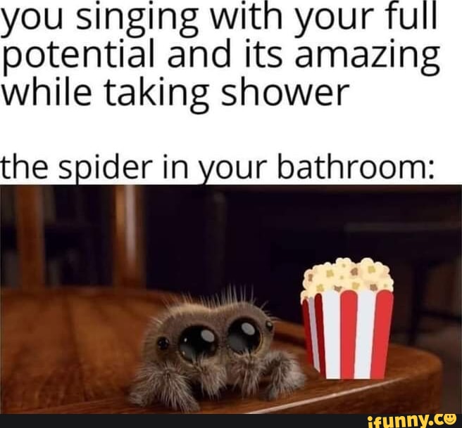 you singing with your fu potential and its amazing while taking shower he spider in your bathroom