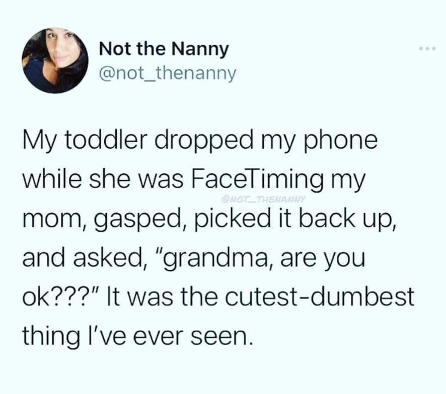 Not the Nanny not_thenanny My toddler dropped my phone while she was Faceliming my mom gasped picked it back up and asked grandma are you ok It was the cutest dumbest thing Ive ever seen