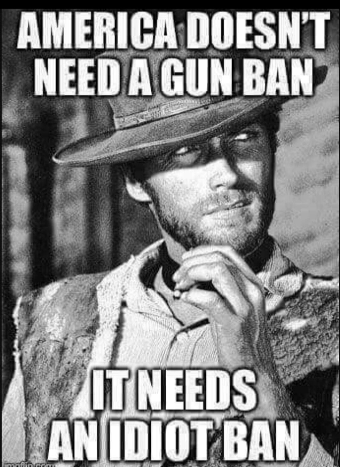 AMERICA DOESN'T NEED A GUN BAN IT NEEDS AN IDIOT BAN