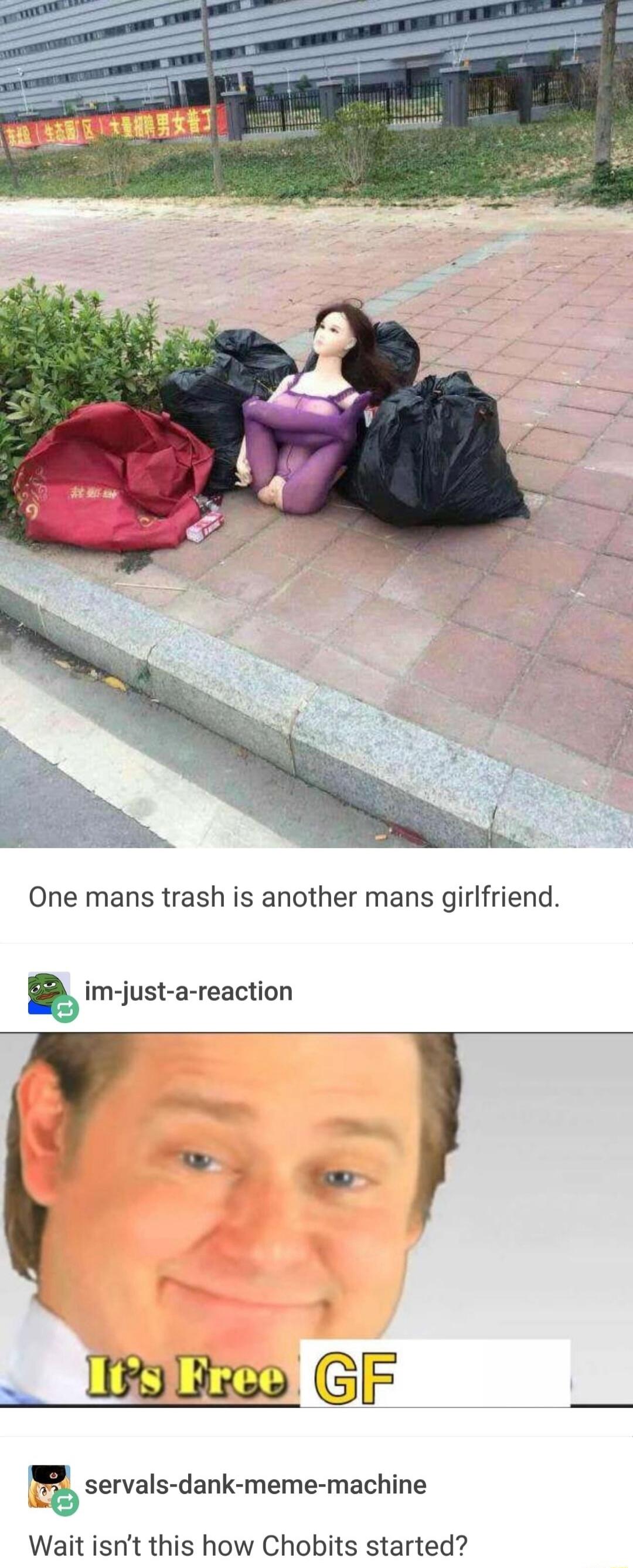 One mans trash is another mans girlfriend im just a reaction Lo GF servals dank meme machine Wait isnt this how Chobits started