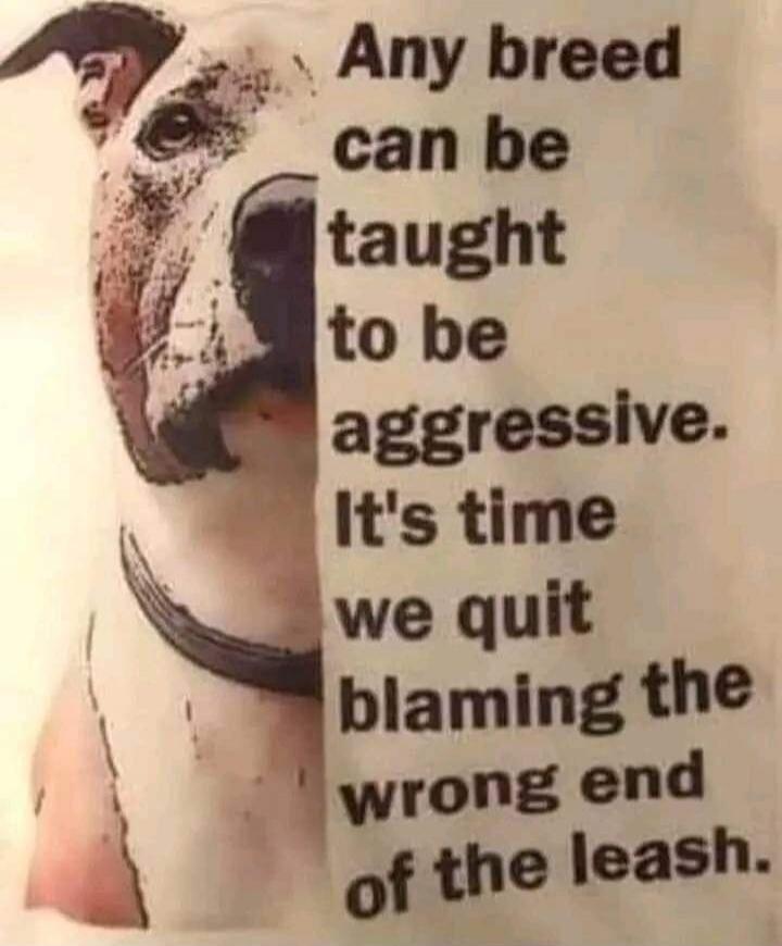 Any breed can be taught to be aggressive. It's time we quit blaming the wrong end of the leash.