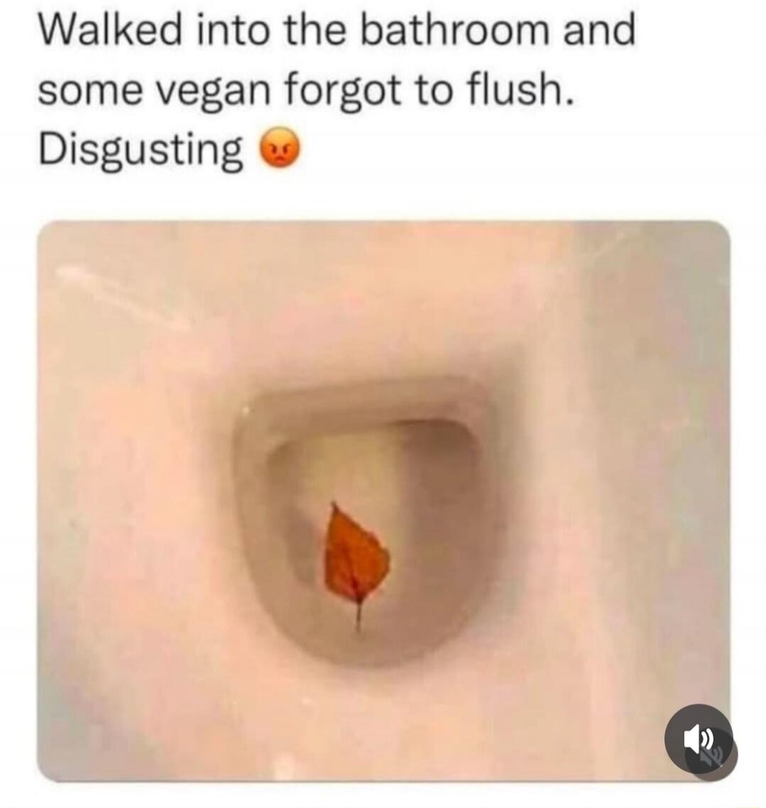 Walked into the bathroom and some vegan forgot to flush. Disgusting 😡