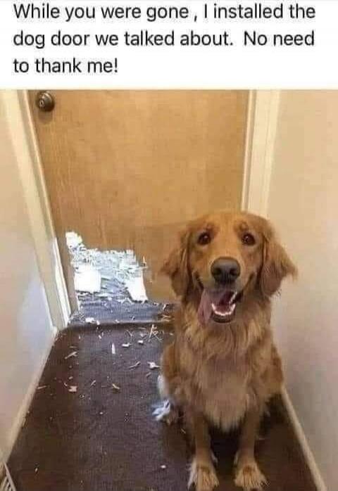 While you were gone, I installed the dog door we talked about. No need to thank me!