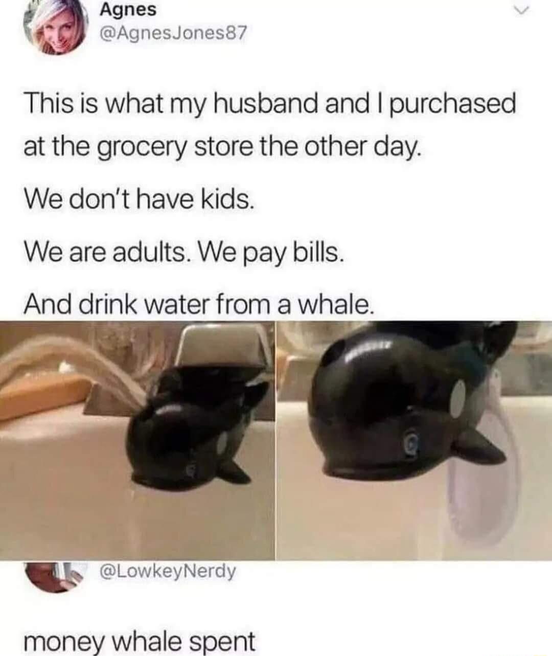 Agnes B AgnesJoness This is what my husband and purchased at the grocery store the other day We dont have kids We are adults We pay bills And drink water from a whale b Lovkey money whale spent