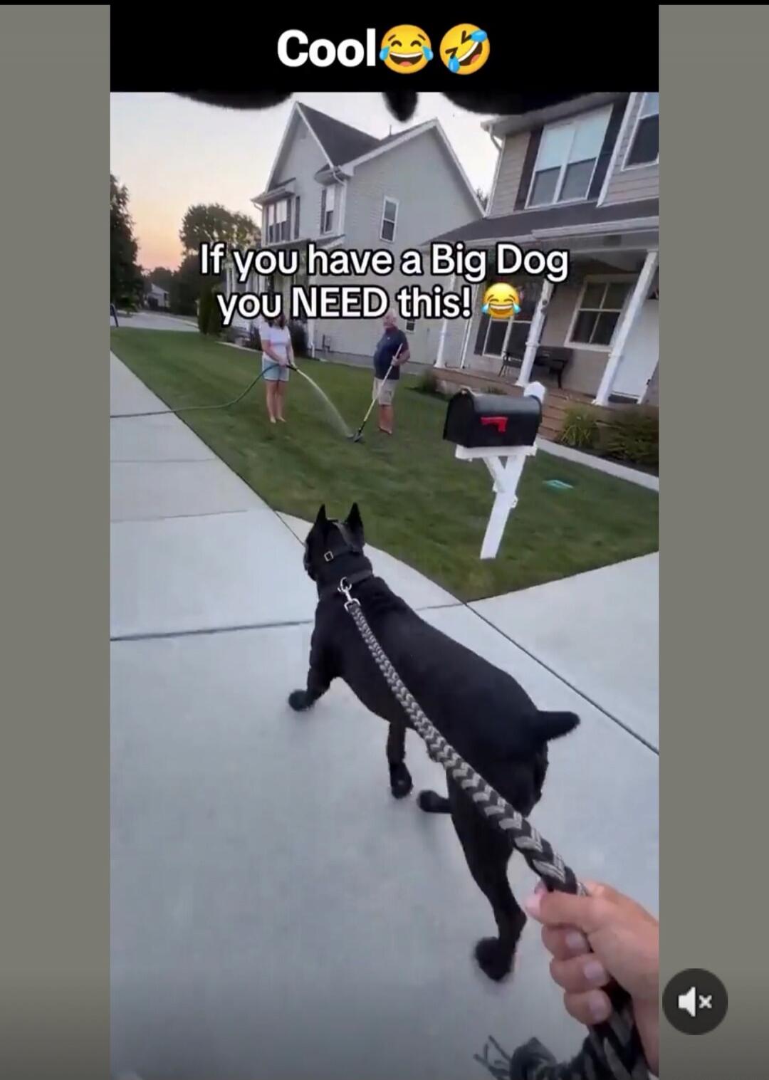 Cool. If you have a Big Dog you NEED this!