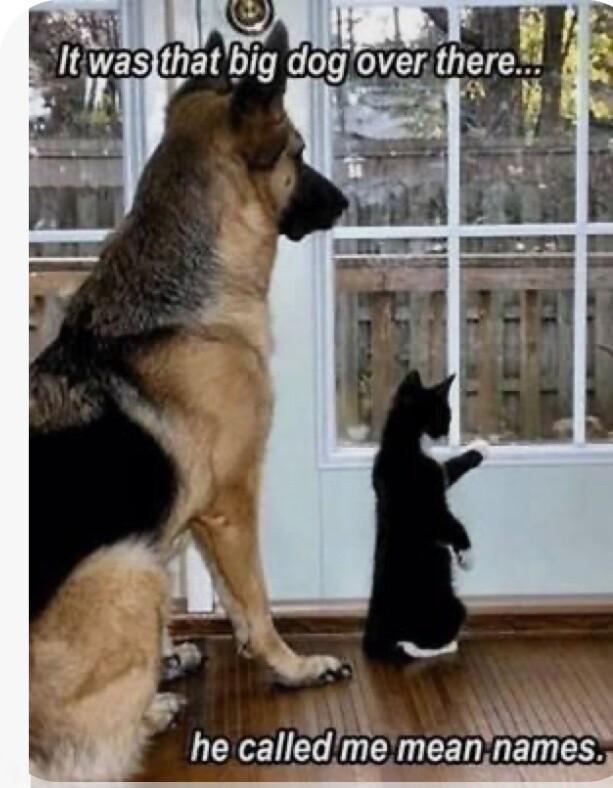 W LUSVANCCRAN he calledme meannames